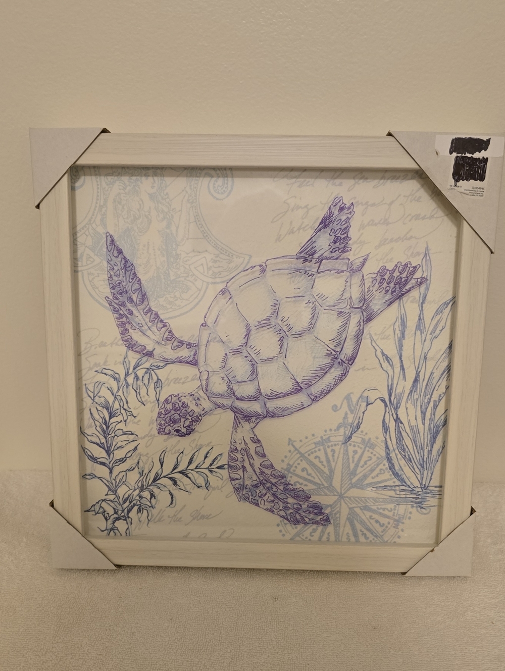 NEW Sea Turtle Picture